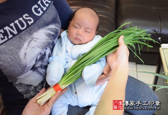 孫寶寶(台北萬華區到府嬰兒寶寶滿月剃頭理髮、免費到府嬰兒剃胎毛儀式吉祥話)。到府剃頭剃胎毛主持、專業拍照、DVD光碟、證書。★購買「臍帶章、肚臍章、胎毛筆刷印章」贈送：剃頭、收涎、抓周，三選一。2015.10.18 照片13
